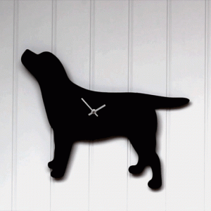 The Labrador Company-Home 24