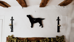 The Labrador Co.-Home - Correct